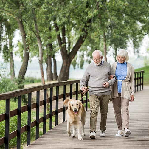 couple walking with dog